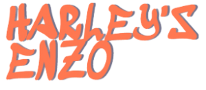 Harley's Enzo logo